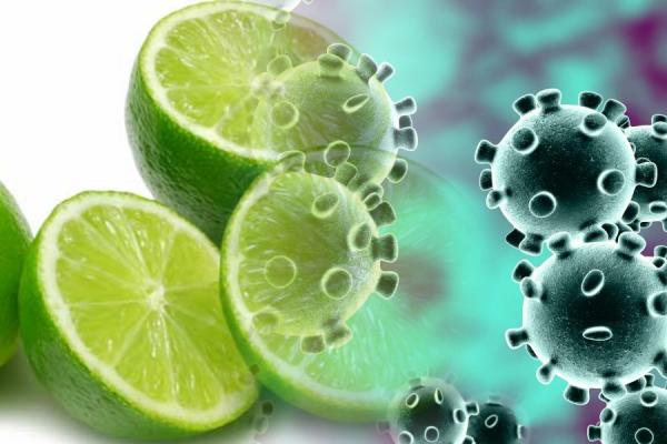 Limão previne contra o Corona vírus SIM. Não seja manipulado