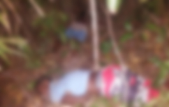 Duplo homicídio em plantação de eucalipto em Alcobaça