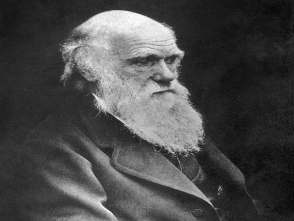 Nascido de pais humanos, Darwin afirmava que o homem veio do Macaco