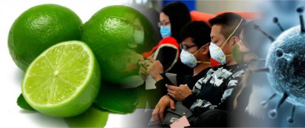 Limão – Poderoso antídoto contra o Corona Vírus. Prepare-se antes da pandemia se alastrar pelo Brasil