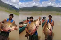 Peixe da bacia amazônica de 45 quilos é pescado na barragem de Pedra em Jequié