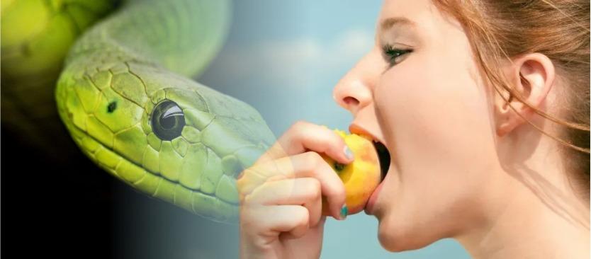 A situa&ccedil;&atilde;o&nbsp;n&atilde;o estava nada boa par...