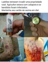 Tiro de espingarda faz bandidos parecerem  que estão de catapora